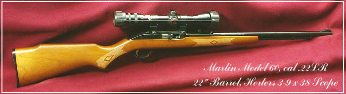 Marlin M60 22lr