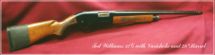Ted Williams Shotgun
